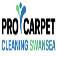 Pro-Carpet-Cleaning-Swansea-logo.png
