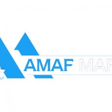 amaf-logo-white.jpg